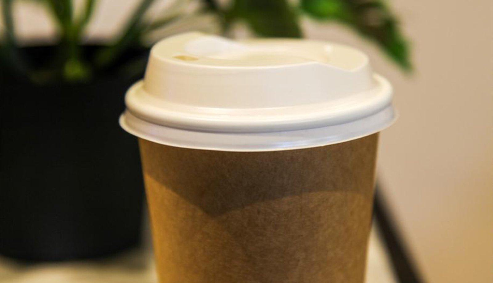 Paper Cups & Lids