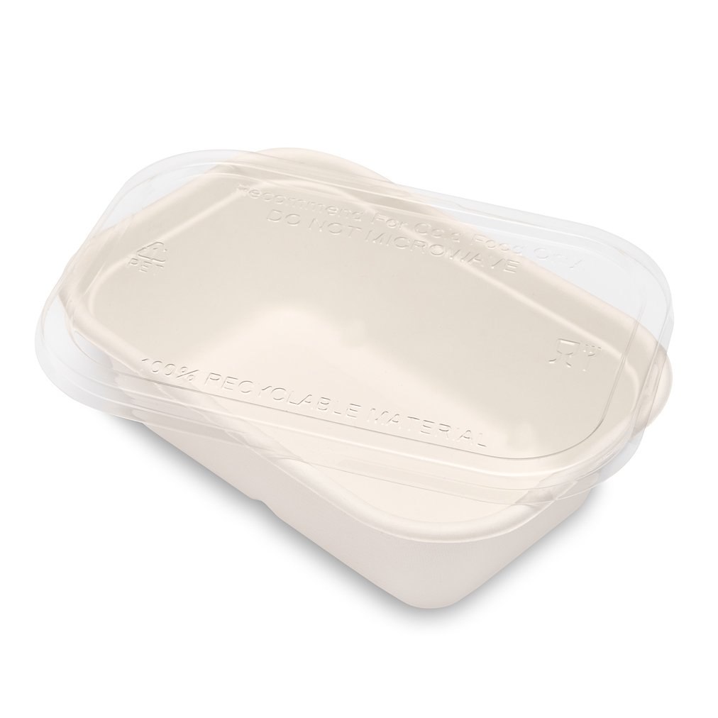 Bagasse Container (178x123x52mm-650ml/22oz) White