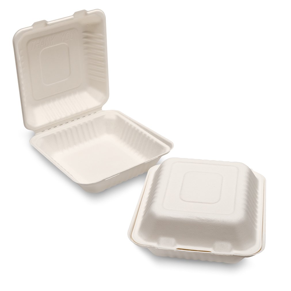 Bagasse Meal Box (205x205x80mm/8″) White