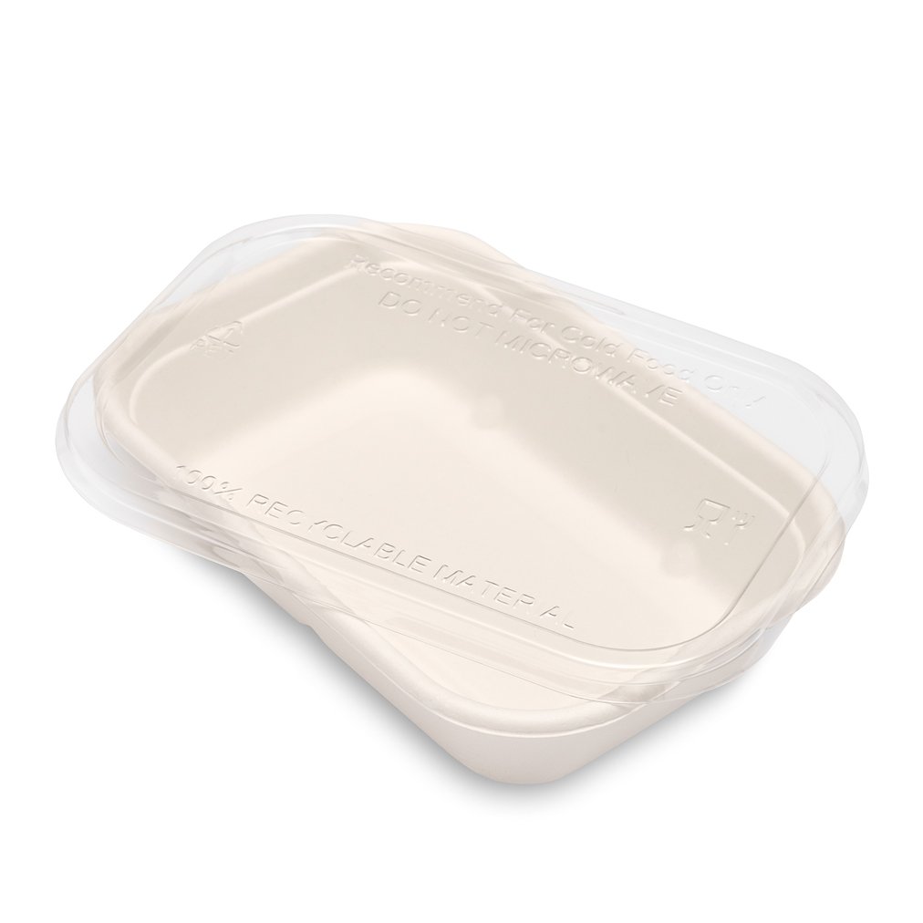 Bagasse Container (178x123x38mm-500ml/17oz) White