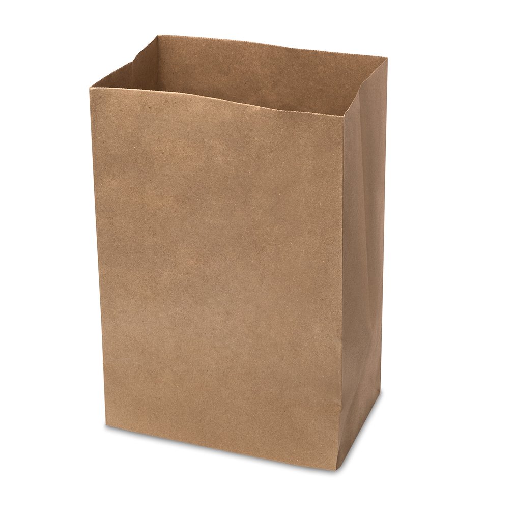 Brown Kraft Grab Bag (250x160x400mm/9.8x6x16″) Medium
